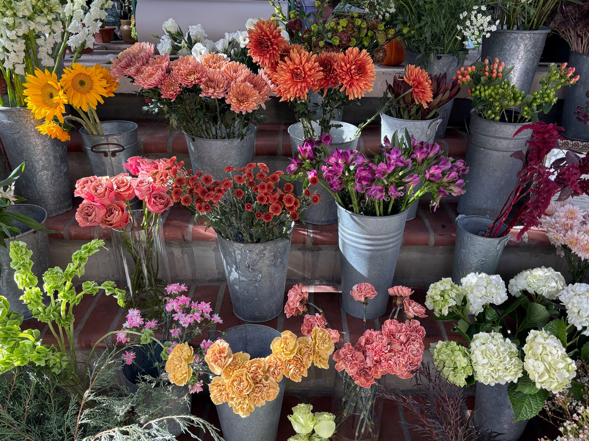 Display of potted flowers in various colors on a table